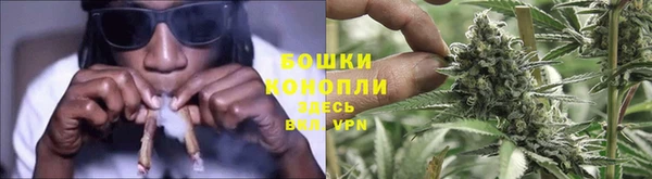стаф Надым
