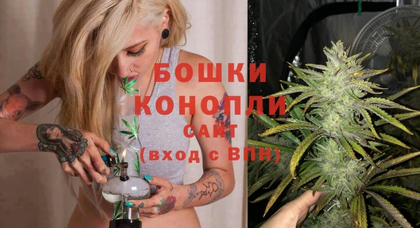 стаф Надым
