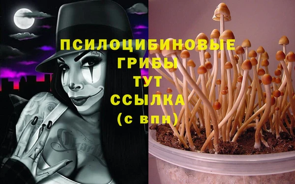 2c-b Навашино